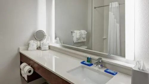Holiday Inn Express & Suites Orlando At SeaWorld by IHG - With Free Shuttle Service to SeaWorld Parks photo 21