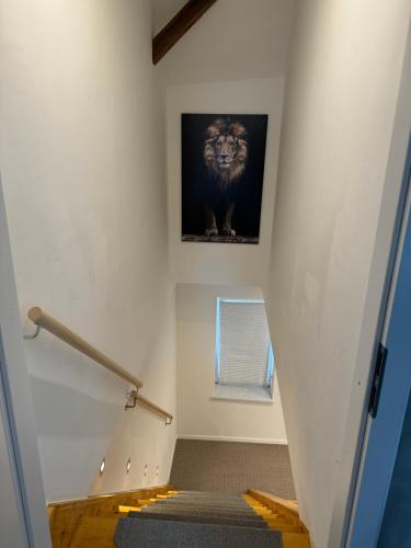 a stairway with a picture of a lion on the wall at Ferienwohnung Nickolai in Wahlheim
