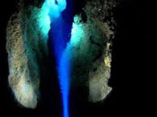 a polar bear is standing in the dark at Villa Ada in Monsummano