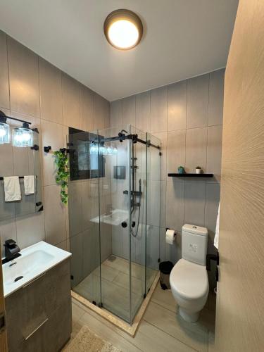 a bathroom with a shower and a toilet and a sink at Serenity Blue Las Terrenas in Las Terrenas