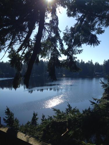 a view of a lake with the sun shining on the water at Cottage Lake Bed and Breakfast in Woodinville