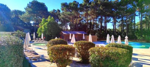 un jardin avec des parasols blancs et une piscine dans l'établissement Au milieu des pins, charmant appartement de 38 m2 - 4 personnes - Domaine du Golf, à Lacanau-Océan