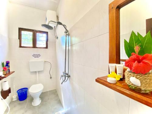 a bathroom with a shower and a toilet and a mirror at Samsara Beach House in Kiganga