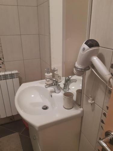 Apartman Pometo I