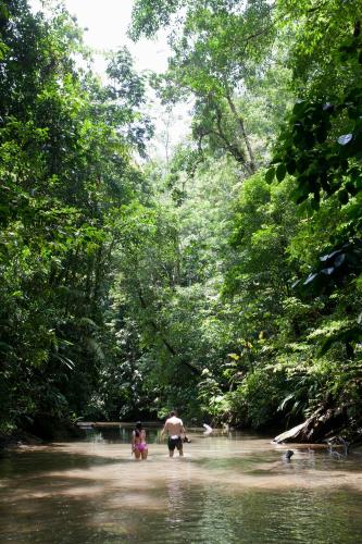 a group of people walking in the water in a river at Pacific Waves Hostel & Surf in El Valle