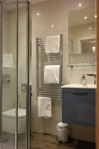 een badkamer met douche, wastafel en toilet bij The Alma Rooms in Londen