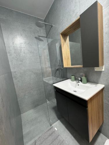 un bagno con lavandino e doccia di Oni Apartment a Tirana