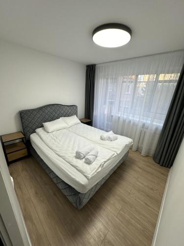 a bedroom with a bed and a large window at Moncerat in Šiauliai