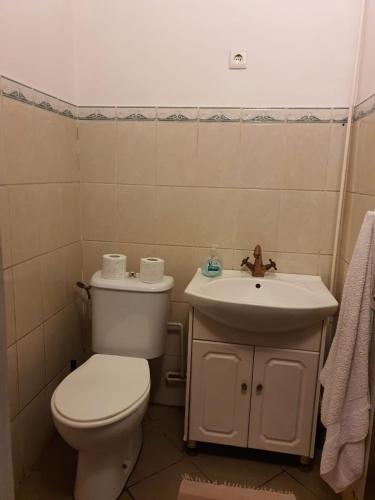 Bilik mandi di Vila Eden