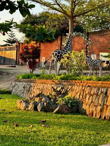 Jardín al aire libre en Villa Nirvana