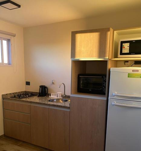 a kitchen with a white refrigerator and a microwave at Apart de Sierras in Nono