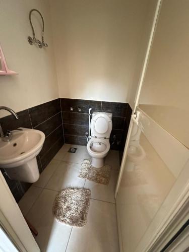 Acacia compound,new cairo