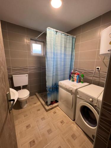 a bathroom with a washing machine and a toilet at Un Rio Sana in Gornji Ribnik