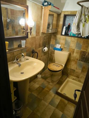 une salle de bain avec un lavabo et des toilettes dans l'établissement Grand et Charmant chalet, à Saint-Martin-Vésubie