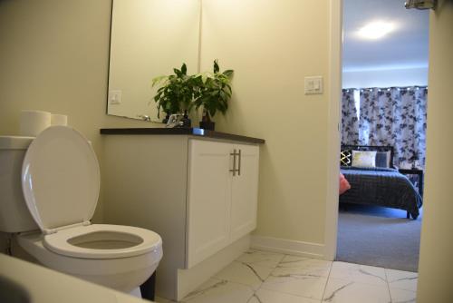 a bathroom with a toilet with a mirror and a plant at Have whole house to yourself in Thorold