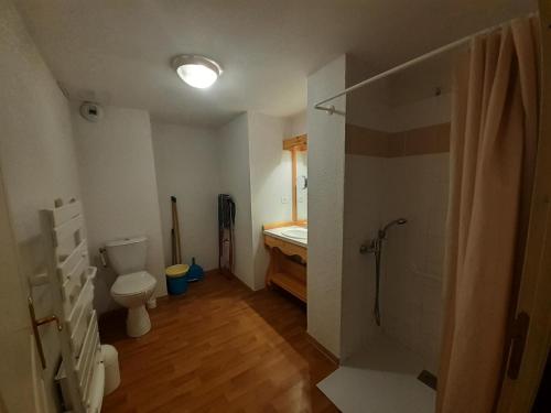 une salle de bain avec toilettes, lavabo et douche dans l'établissement Chalet Florence - 2 Pièces pour 4 Personnes MAE-6501, à Modane