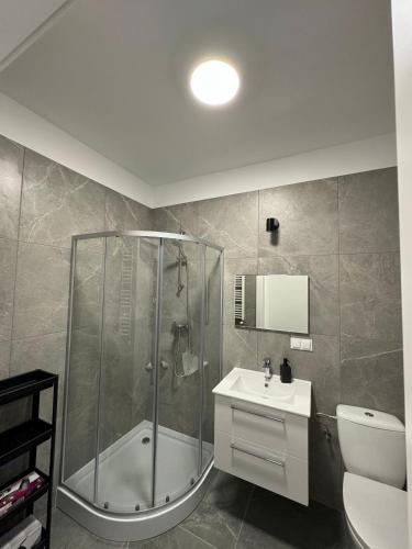 a bathroom with a shower and a toilet and a sink at Abra Apartment X in Poznań