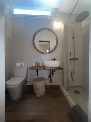 a bathroom with a sink and a toilet and a mirror at Finca el Remanso de Marta in Málaga