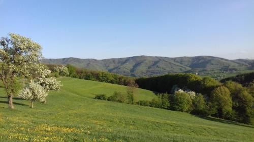 Appartement am Archehof Windbichl