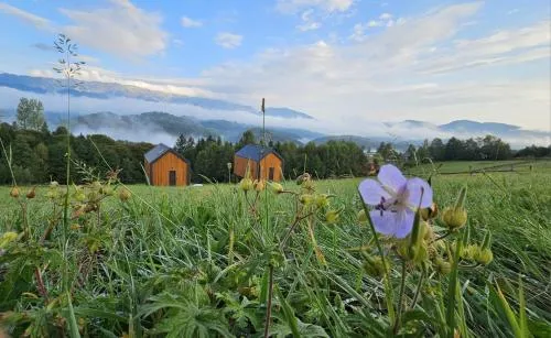 Suspended Tiny House