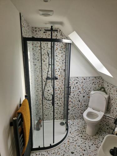 a bathroom with a shower and a toilet at Cherry Lodge in Aldermaston