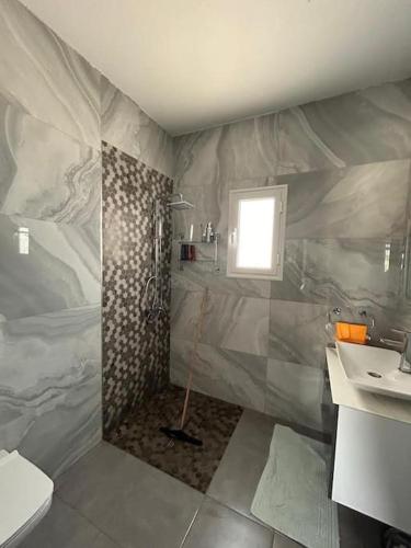 a bathroom with a shower and a toilet and a sink at Villa Djerba Arkou in Djerba