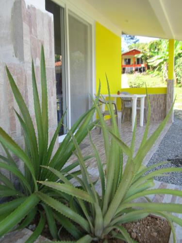 Κήπος έξω από το Residence Las Lajas