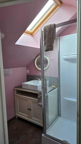 La salle de bains est pourvue d'un lavabo et d'une porte de douche en verre. dans l'établissement À la campagne proche du Mans, à Louplande