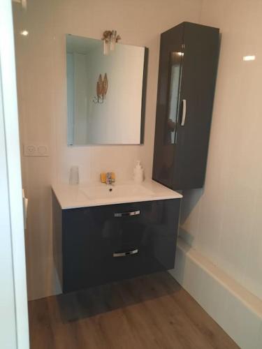 une salle de bain avec un lavabo et un miroir dans l'établissement Gîte 16 personnes, à Pleine-Fougères