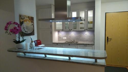 a kitchen with a sink and a counter top at Tulai 104E in Scuol