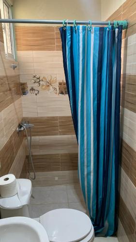 a bathroom with a toilet and a blue shower curtain at ApartaHotel Dona Reyna Alojamientos en Santo Domingo a 5 min de Aeropuerto Internacional Las Américas in El Higo