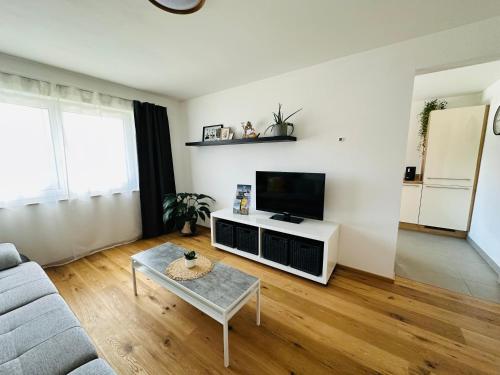 a living room with a couch and a tv at Urlaub am Bauernhof in Karrösten