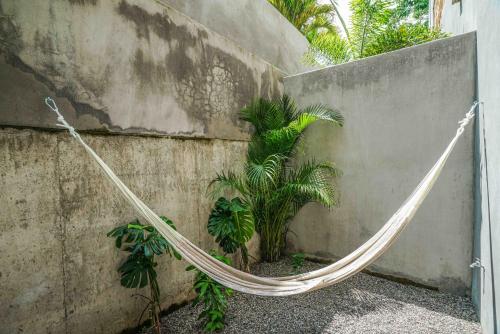 a hammock tied to a wall next to plants at Witari Hotel Boutique in San Francisco