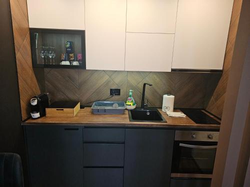 a kitchen counter with a sink and white cabinets at LUXURY APARTMAN ELENI ROOMS oaza mira i tišine u centru Vrnjačke banje in Vrnjačka Banja