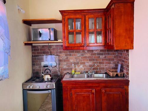 a kitchen with a sink and a brick wall at Castle Berry Apartments in Kingstown