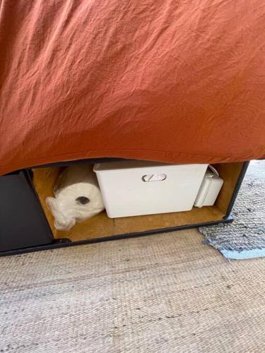 Φωτογραφία από το άλμπουμ του The Hideout - Stargazing Glamping Swim Oasis σε Oregon City