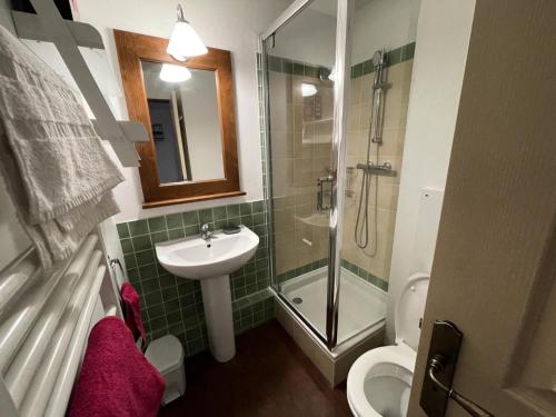 une salle de bain avec une douche, un lavabo et des toilettes dans l'établissement Résidence Alpaga - Appartement · Rénové · Wifi inclus · Parking couvert MAE-9294, à La Salle Les Alpes