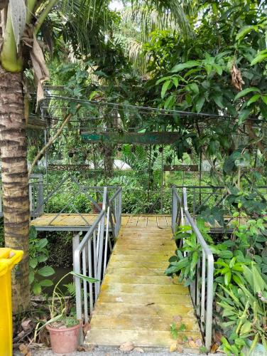 Taman di luar ตาปีรีสอร์ท 2018