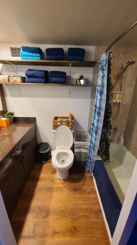 a small bathroom with a toilet and a bath tub at Private owned studio at Luana Hotel, partial ocean & city view, and no resort or extra fees!!! in Honolulu