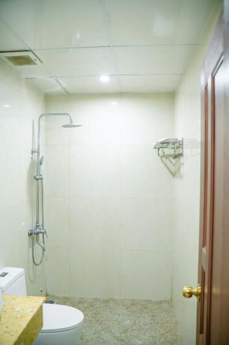a bathroom with a shower and a toilet at Dragon Hotel & Apartments Đà Nẵng in Da Nang
