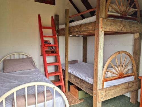 two bunk beds in a room with a bed and a ladder at Settlers Hut in Upper Takaka
