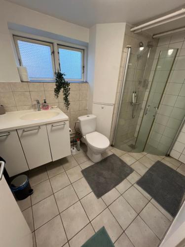a bathroom with a toilet and a shower and a sink at Casa de Rainer Copenhagen Room 7 in Copenhagen