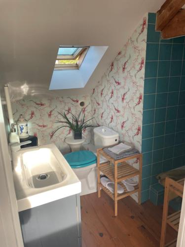 une salle de bain avec un lavabo et des toilettes dans l'établissement Chambre hôtes nichée sous les toits, à Rennes