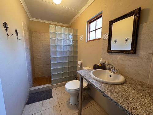 a bathroom with a sink and a toilet and a shower at The Palms Venue & Accommodation in Cradock