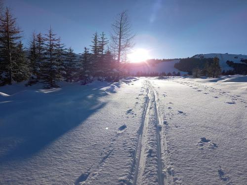 Apartment for allergy sufferers near the waterfall