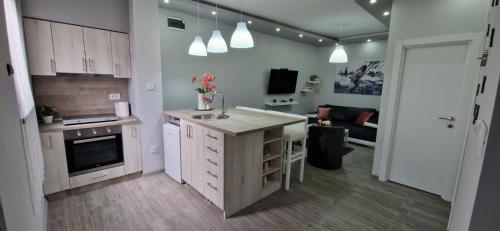 Køkken eller tekøkken på Apartmani i sobe Gromilovic Apartman 4