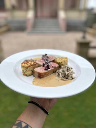 a person holding a plate with food on it at Hotel Zámeček Raspenava in Raspenava
