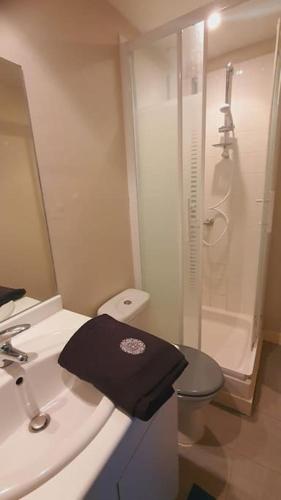 une salle de bain avec toilettes, lavabo et douche dans l'établissement App 3 - T2 Calme et Lumineux Hyper-Centre 5min de la gare, à Évreux