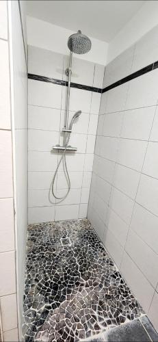 a bathroom with a shower with a tiled floor at LOCATIONS RIVES DE SEUGNE - Claveau in Jonzac