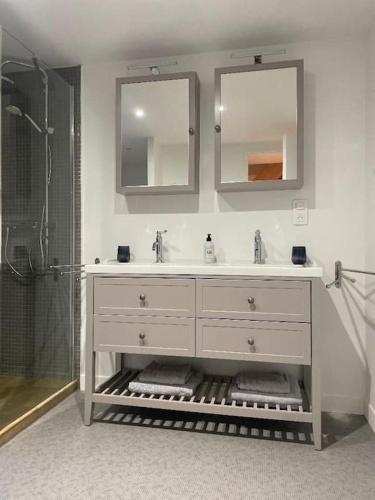 La salle de bains est pourvue d'un lavabo et d'une douche avec deux miroirs. dans l'établissement Appartement plein centre, garage recharge voiture, à Langres